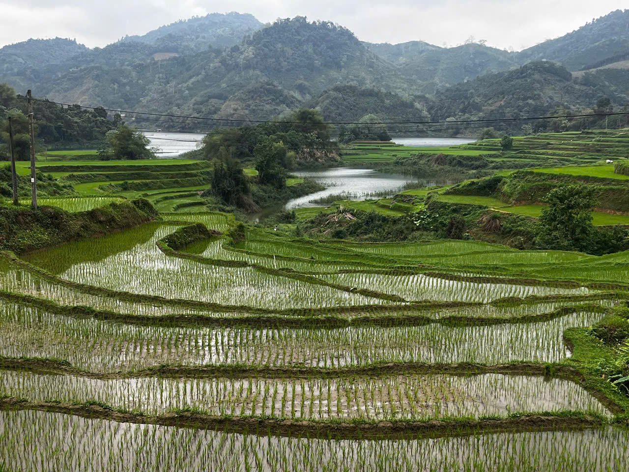 Ha Giang Epic Loop by Bicycle Tour 6 Days